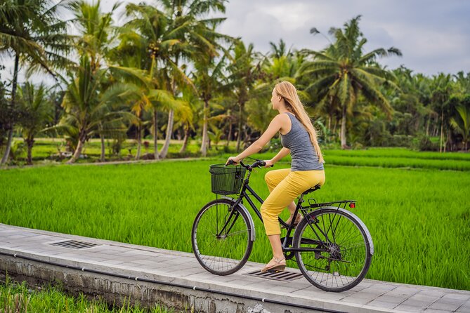 Half-Day Ubud Rice Field and Village Cycling Tour - Key Points You’ll Care About