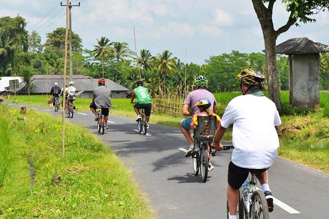 Half-Day Ubud Rice Field and Village Cycling Tour - Ubud Cycling That Feels Local, Not Tour-Bus Local