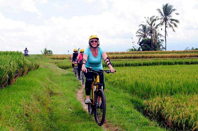 Half-Day Ubud Rice Field and Village Cycling Tour - Coffee Plantation Stop: A Quick Taste Before the Ride