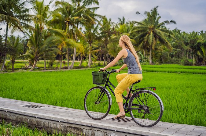 Half-Day Ubud Rice Field and Village Cycling Tour - Village Life Stop: A Balinese Home Compound Moment