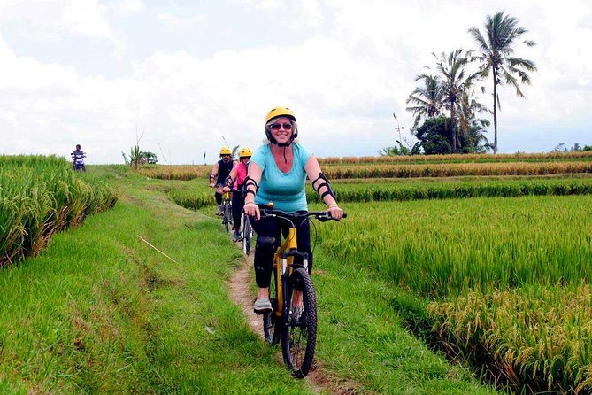 Half-Day Ubud Rice Field and Village Cycling Tour - Cycling Through Rice Fields and Rural Roads
