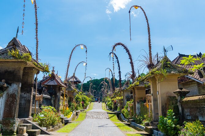 Half-Day Ubud Rice Field and Village Cycling Tour - Guides Matter Here (and You’ll Notice It)