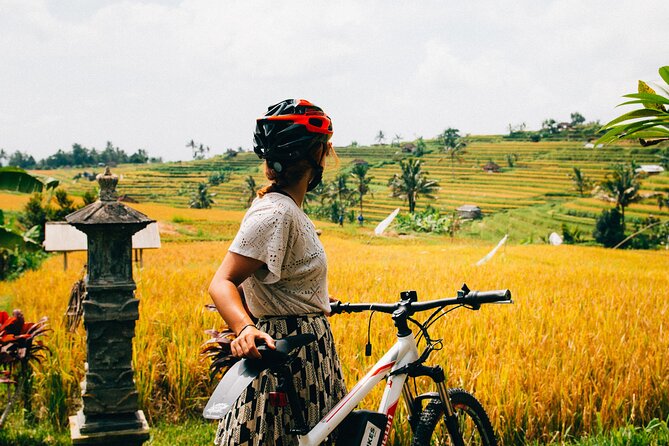 Half-Day Ubud Rice Field and Village Cycling Tour - The Start: Pickup, Bikes, and That First Real Breather