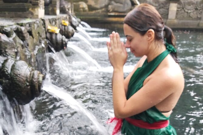 Half Day Ubud Tour - Private Guided Tour - Door-to-door pickup in a private air-conditioned car