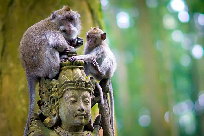 Half Day Ubud Tour: Ubud Unique Spots - Who should book this (and who should skip it)