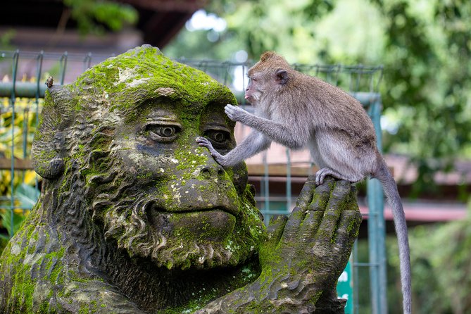 Half Day Ubud Tour: Ubud Unique Spots - Sacred Monkey Forest Sanctuary: walking with temple guards and fast animals