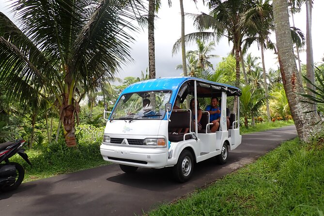 Half Day Ubud Waterfall Tour - Key Things I’d Bet You’ll Care About