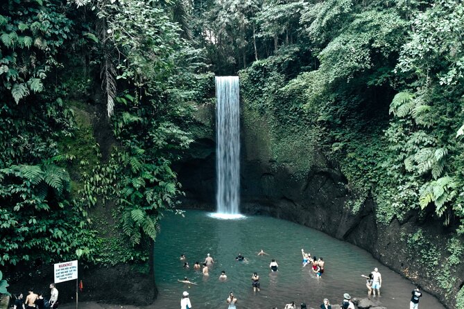 Half Day Ubud Waterfall Tour - The Stair Reality Check (Read This Before You Go)