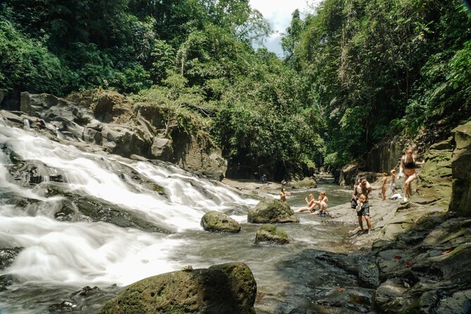 Half Day Ubud Waterfall Tour - Getting Picked Up in Ubud and Ending at Layana Warung