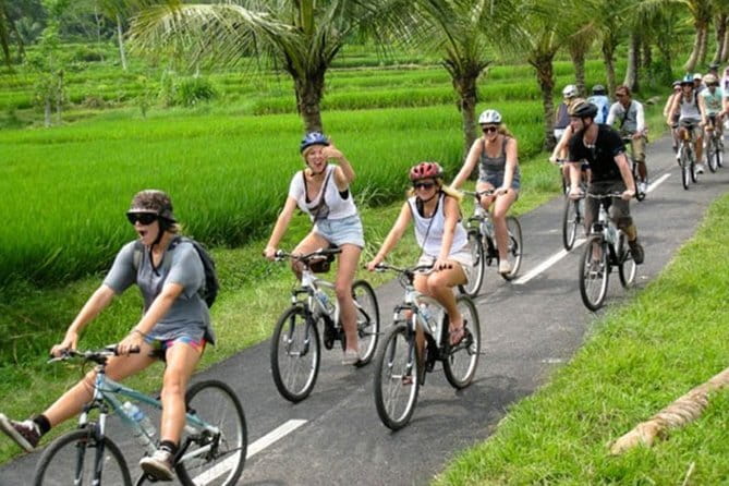 Halo Bike Cycling Tour Downhill - The bike ride itself: 90% downhill with lots of pause time