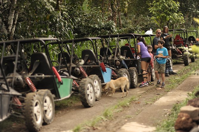 Haunted Valley Waterfall ATV and Bike Tour - Switching to the bike: rice fields, villages, and dirt trails