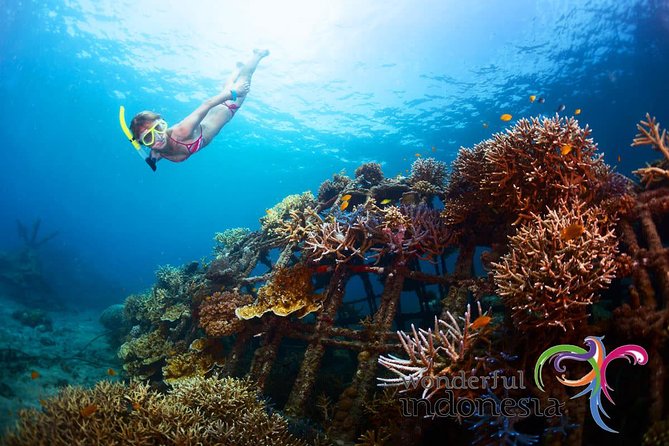 Have fun 1 day in Nusa Penida: snorkeling, kelingking & broken beach incl lunch - Why Nusa Penida in One Day Makes Sense From South Bali
