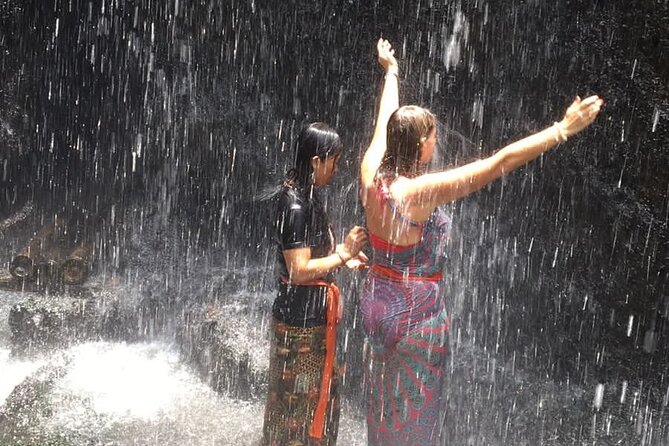 Healing and Purifications Tour in Bali - Who this tour fits best (and who might want something else)