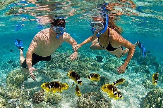 Heaven Gate (Lempuyang) - Tirta Gangga - FREE WIFI - Stop 3: Padangbai harbour break for snorkeling time