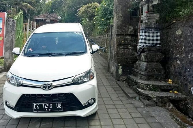 Heaven Gate, Tirtagangga and Tukad Cepung Waterfall - All Inclusive - Teo and your English-speaking driver guide: why it changes the day