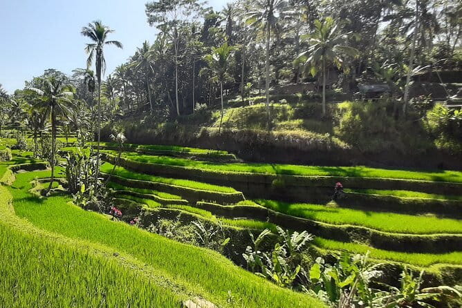 Heaven Gate, Tirtagangga and Tukad Cepung Waterfall - All Inclusive - Lempuyang Heaven Gate: Mount Agung views and temple etiquette basics
