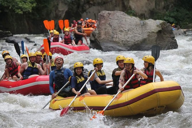 Hidden Canyon Beji Guwang & White Water Rafting - Ayung River Rafting: Grade II–III, 2 Hours, Clear-Water Options