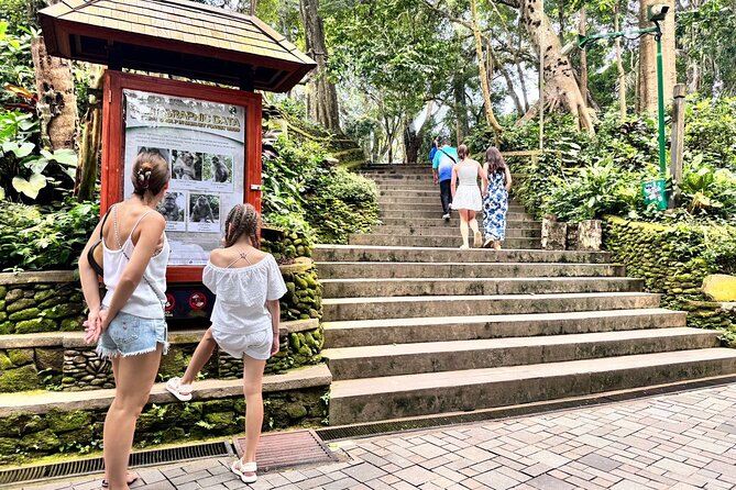 Hidden Ubud: Waterfalls & Sacred Temples - Tegallalang Rice Terraces: UNESCO Views You Can Actually Walk