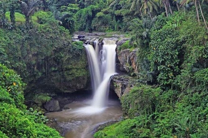 Hidden Ubud: Waterfalls & Sacred Temples - Tegenungan or Ulun Petanu Waterfall: Cooling Down in the Jungle