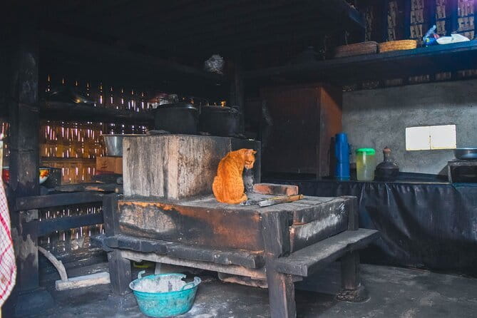 Highlight of Bali Tour - Price and value for a 12-hour Bali highlights loop