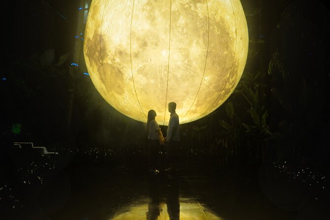 Hikaria: Bali's First Immersive Night Walk - Best Time to Book: Don’t Wait Too Long