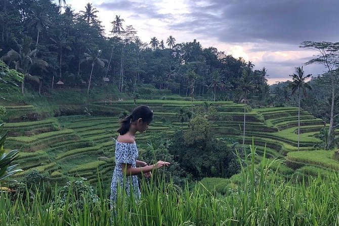 Hire Bali Driver for 10-hour (Bali as You Please) - Kintamani for volcano views and a real lunch break