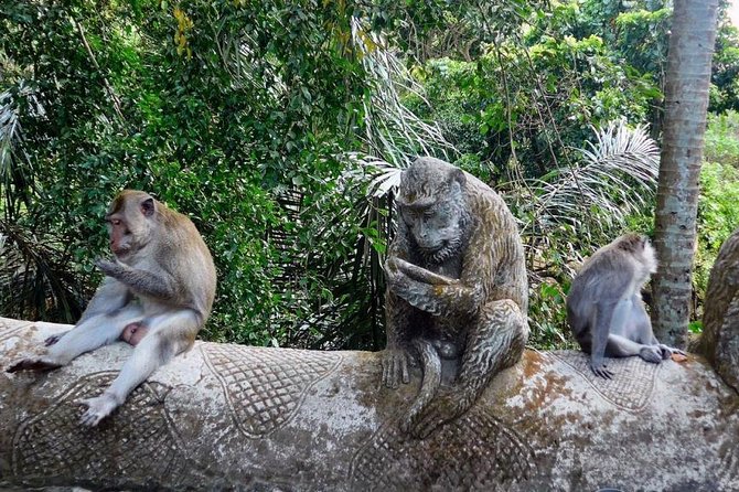 Hire Bali Driver for 10-hour (Bali as You Please) - Choosing beaches without turning your day into a sprint