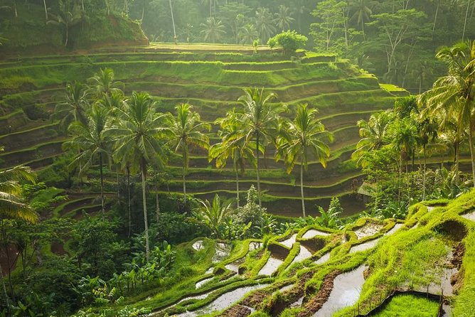Hire Private Bali Driver - Door-to-Door Pickup in an Air-Conditioned Car