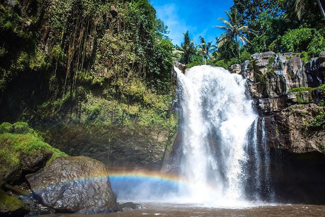 Hire Private Bali Driver - Comfort on Bali Roads: Parking, Fuel, and Bottled Water