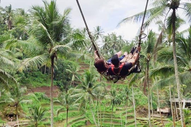 Hire Private Bali Driver - Price and Value: What $40 Per Person Really Buys
