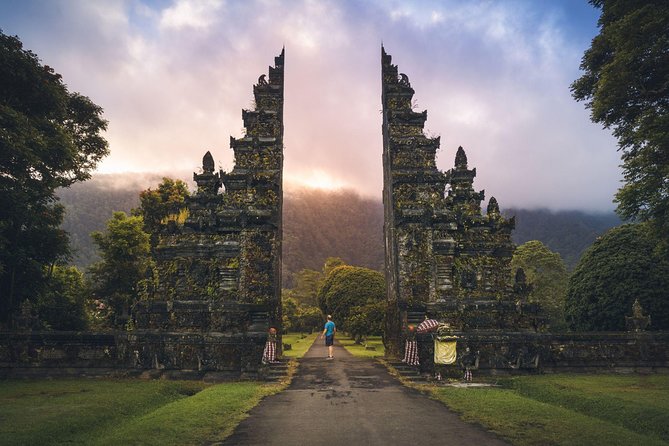 Hire Private Bali Driver - Where You Can Go: Ubud, Beaches, Temples, and Rice Terraces