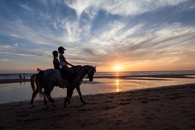 Horse Riding on the Black Sand Beach and Free Hotel Transfers - Key points before you go