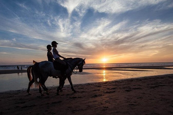 Horse Riding on the Black Sand Beach and Free Hotel Transfers - Picking the Best Departure Time: How to Fit Sunset or a Quick Morning Ride