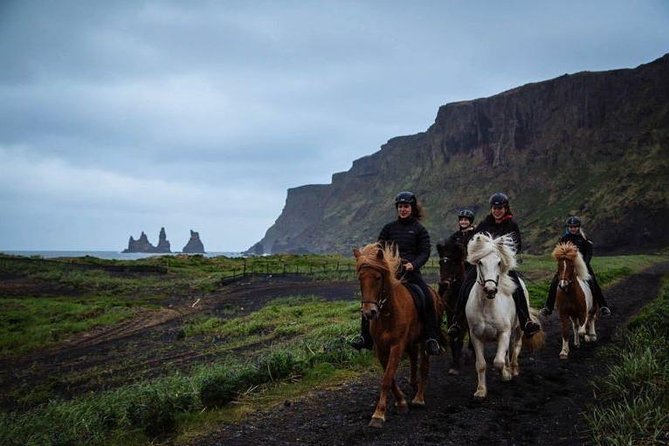 Horse Riding on the Black Sand Beach and Free Hotel Transfers - What the Experience Feels Like: Calm Waves, Well-Cared-For Horses, and Staff Support