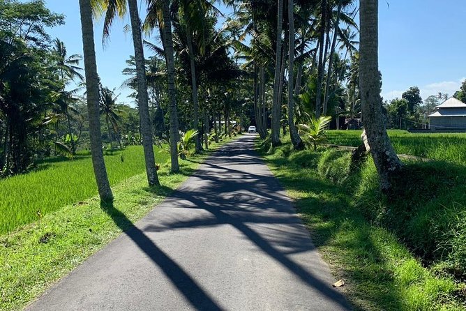 Individual Bali Day Trip with Private Driver and Free WiFi - Sacred Monkey Forest to Tegalalang: Ubud’s Most Used (and Most Worth It) Stops