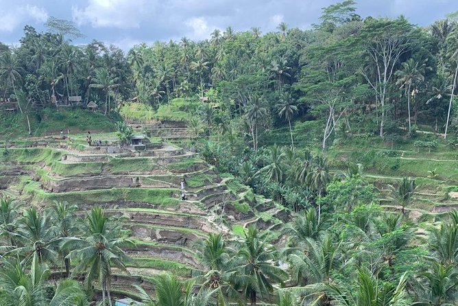 Individual Bali Day Trip with Private Driver and Free WiFi - Sacred Springs and Waterfall Steps: Tirta Empul and Tegenungan