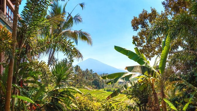 Jatiluwih Batukaru Mountain Nature's Best Tour - Key things I’d pay attention to