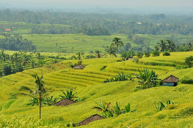 Jatiluwih Batukaru Mountain Nature's Best Tour - The Time Tradeoffs: Craft Stops, Coffee Tastings, and Shopping Pressure