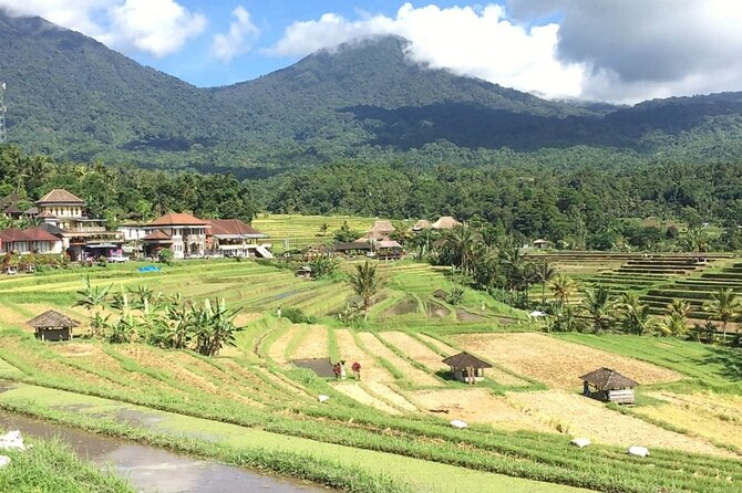 Jatiluwih Batukaru Mountain Nature's Best Tour - Comfort, Timing, and What to Bring