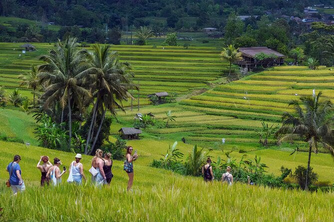 Jatiluwih Spiritual Journey of Melukat with Rice Terrace View - The Jatiluwih Rice Terrace View: Why It Hits After the Ceremony