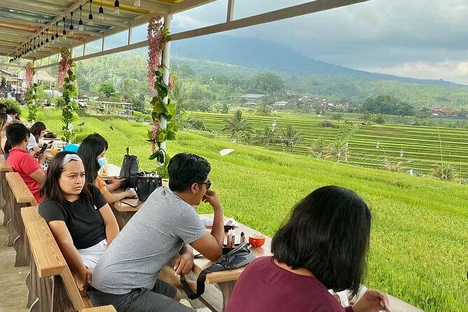 Jatiluwih Spiritual Journey of Melukat with Rice Terrace View - Sangeh Monkey Forest: Early Nature Break (and a Must-Know)