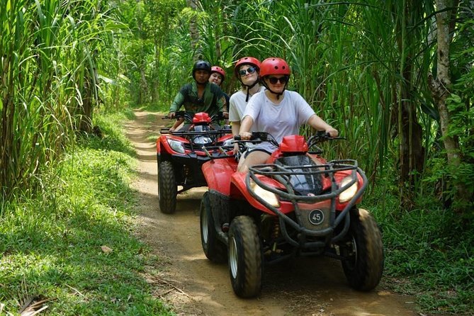 Jungle ATV Quad Bike Through Gorilla Face Cave - Gorilla-Mouth Tunnel: The ATV Set Piece Near Ubud