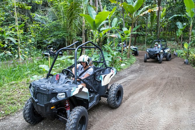 Jungle Buggy Adventure and Ubud Tour - Chocolate factory + rice paddy vibes: Ubud’s slower side