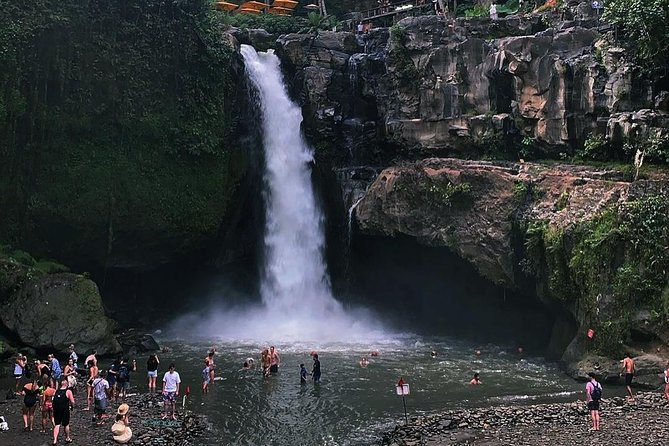 Jungle Swing - Volcano - Water Temple - Monkey Forest and Waterfall Tour - Pickup and meeting: how to keep the day stress-free