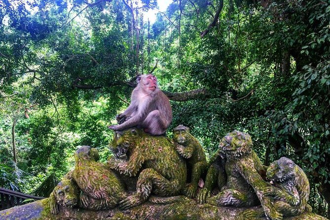 Jungle Swing - Volcano - Water Temple - Monkey Forest and Waterfall Tour - Stop 2: Tirta Empul Temple—holy water spring and ritual bathing