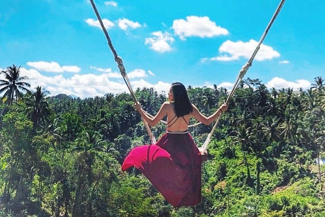 Jungle Swing - Volcano - Water Temple - Monkey Forest and Waterfall Tour - Stop 3: My Swing Bali—fast photo payoff, but the cost is the big question