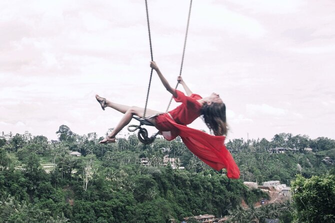 Jungle Swing - Volcano - Water Temple - Monkey Forest and Waterfall Tour - Price and value: the $37 base plus entrance fees that add up