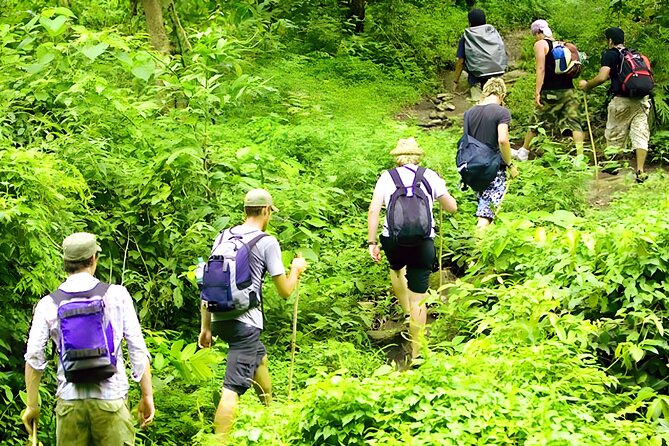 Jungle Trekking and Tamblingan Lake Canoeing in Bali Rainforest - Tamblingan Lake Canoeing: The Sacred Crater-Lake Experience
