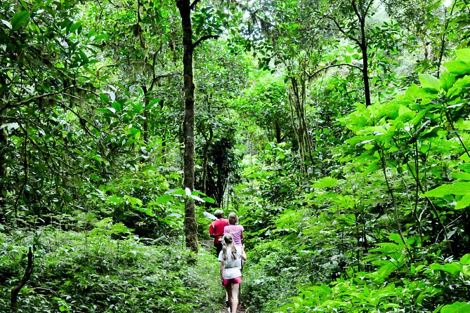 Jungle Trekking and Tamblingan Lake Canoeing in Bali Rainforest - How Much Activity Is Enough? (3 Hours Means It’s Fast)