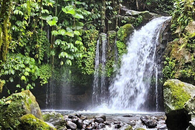 Jungle Trekking at Mt. Batukaru, scenic Waterfall & village life - Key points to know before you go